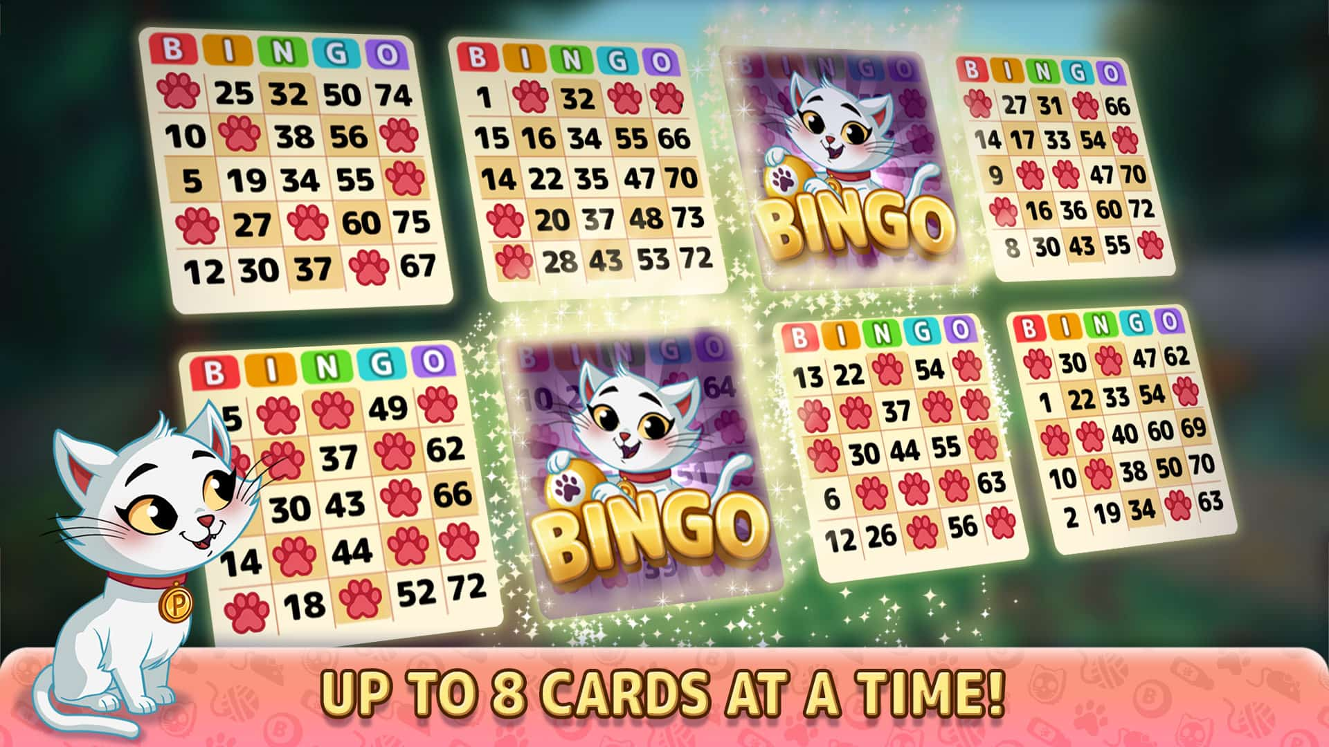 Lucky Cat Bingo: Play Bingo & Build Your Cat Heaven